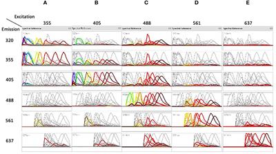 Beyond 40 fluorescent probes for deep phenotyping of blood mononuclear cells, using spectral technology